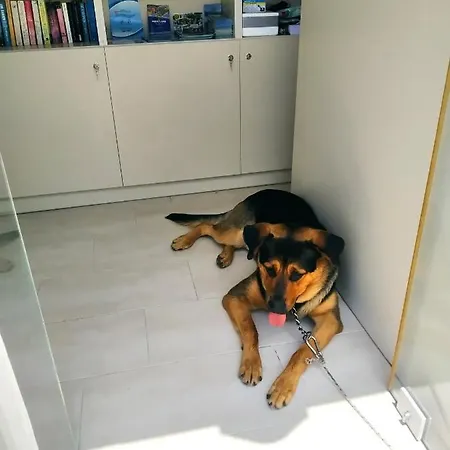 Manganas Palaiokastritsa